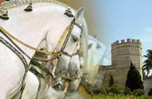 Jerez Historic Guided Tour with Horse Show