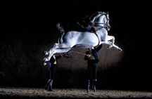 Jerez Historic Guided Tour with Horse Show