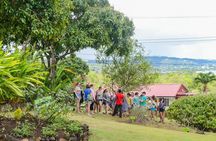 Essence of St Lucia Heritage Experience