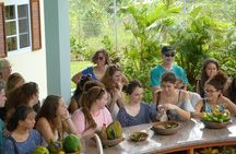 Essence of St Lucia Heritage Experience