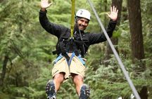 Rainforest Canopy Adventure from Vieux Fort or North Island, St Lucia