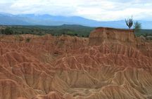 2-Day Private Tour to the Tatacoa Desert from Bogotá