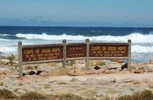 Cape Town Shore Excursion: Private Small Group Cape Peninsula 
