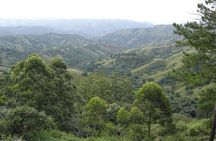 Durban Shore Excursion: Valley of 1000 Hills and PheZulu Tour