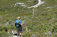 Table Mountain Hike from Cape Town