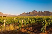 Stellenbosch Wine Tour half day from Cape Town