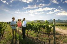 Stellenbosch Wine Tour half day from Cape Town
