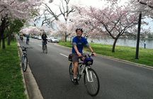 Washington DC Cherry Blossoms By Bike Tour