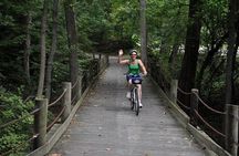 Visit Mount Vernon by Bike: Self-guided Ride with Optional Boat Cruise Return