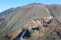 Mutianyu Great Wall + Summer Palace or Forbidden City or Ming Tombs Day Tour