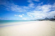 Paradise Cruise to Ile Aux Cerf Island from Trou d'Eau Douce