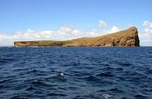 Full-Day Northern Catamaran Cruise: Coin de Mire and Ile Plate Island