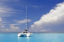 Full-Day Northern Catamaran Cruise: Coin de Mire and Ile Plate Island