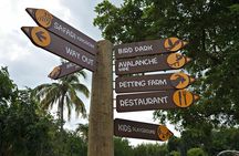 Full-Day Swimming with Dolphins and Casela Nature Park Tour in Mauritius