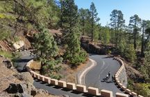 Road Cycling Tenerife - Teide Route