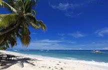 Private Bohol and Chocolate Hills with Loboc River Cruise
