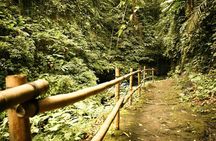 Hidden Valley Springs with Lunch from Manila