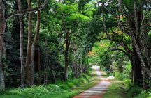From Hanoi: Cuc Phuong National Park Day Trip by Private Car