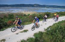 Parenzana Trail Biking Experience from Koper