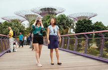Singapore PRIVATE TOUR: Highlights & Hidden Gems by CAR or Foot
