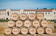 MIMI Castle with wine Tasting