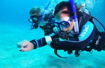 Continue your education with the Advanced Open Water Diver course - 2 days