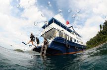 Continue your education with the Advanced Open Water Diver course - 2 days