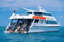 Poseidon Outer Great Barrier Reef Snorkeling and Diving Cruise from Port Douglas