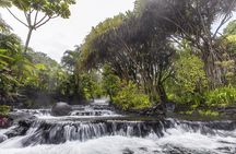 Day Trip from San Jose to Tabacon Hot Springs Resort & Spa