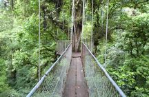 Day Trip from San Jose to Arenal Hanging Bridges & Tabacon Hot Springs 