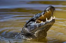 Jungle Crocodile Safari & Jaco Beach from San Jose