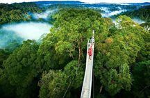Day trip from San Jose to Monteverde Cloud Forest & Sky Adventure Park