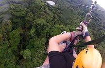 Day trip from San Jose to Monteverde Cloud Forest & Sky Adventure Park