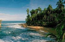 Caribbean Costa Rica: 5-Day Tour with Tortuguero National Park and Puerto Viejo