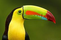 Exotic Landscapes of Costa Rica