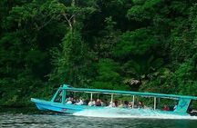 Day Trip from San Jose to La Paz Waterfall Gardens & Safari in Sarapiqui River