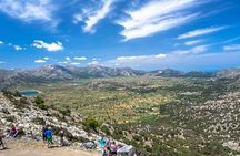 Full-Day Land Rover Safari from Heraklion with Lunch