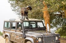 Full-Day Land Rover Safari from Heraklion with Lunch