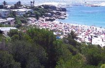 Cape of Good Hope and Cape Winelands Day Tour from Cape Town