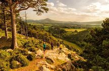 Dublin to Wicklow, Glendalough Small Group Tour with Guided Walk 