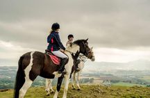 Dublin to Wicklow, Glendalough Small Group Tour with Horse Riding