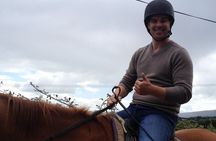 Dublin to Wicklow, Glendalough Small Group Tour with Horse Riding