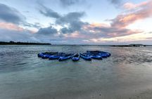 Bio Bay Kayak Tour in Fajardo