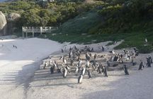 South Africa's Cape Peninsula Tour