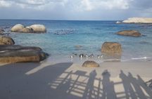 South Africa's Cape Peninsula Tour