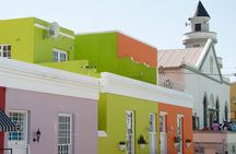 Private Tour: Cape Town City and Table Mountain from Cape Town