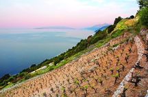Classic Tour with Wine Tastings from Dubrovnik
