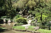 Rio de Janeiro Botanical Garden Tour