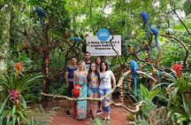 Bird Park General Admission Ticket and Tour