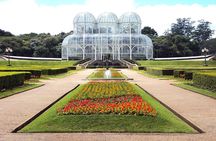 Experience the Best of Curitiba: City Tour Highlights